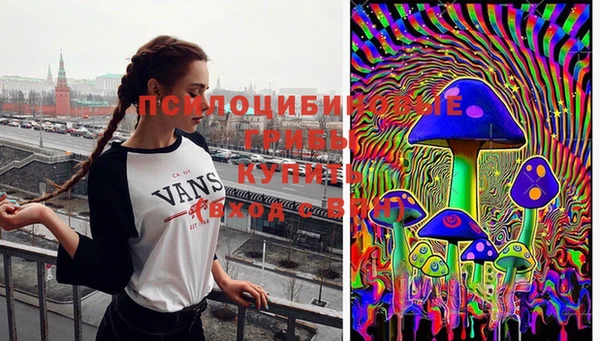 спиды Алзамай
