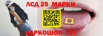 крисы Тверь