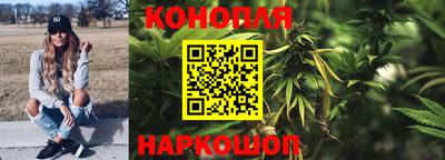 прущие грибы Тара