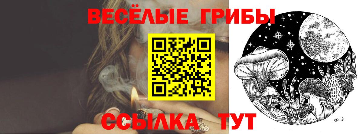 Галлюциногенные грибы MAGIC MUSHROOMS  закладки  Черемхово  Галлюциногенные грибы GOLDEN TEACHER  Вход с VPN 